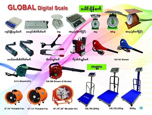 Digital Scale